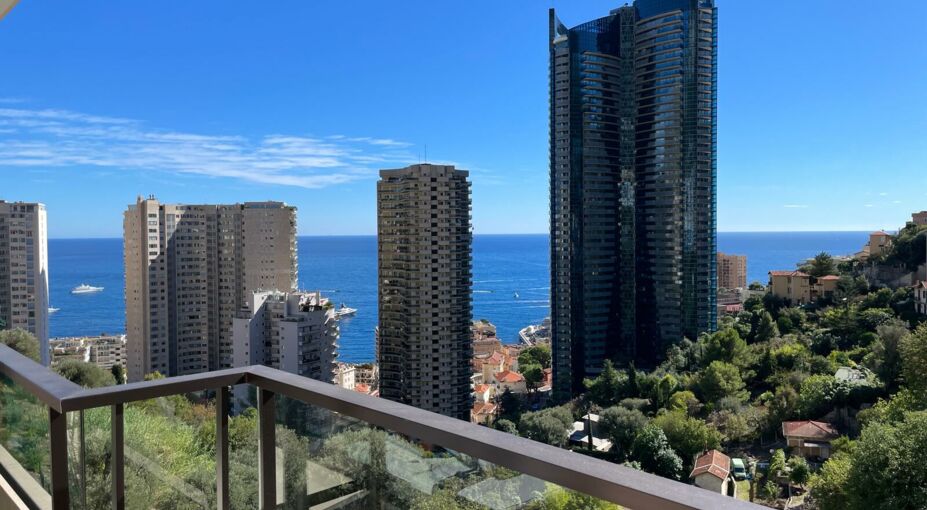 3 PIECES - BEAUSOLEIL PRÈS DU CENTRE